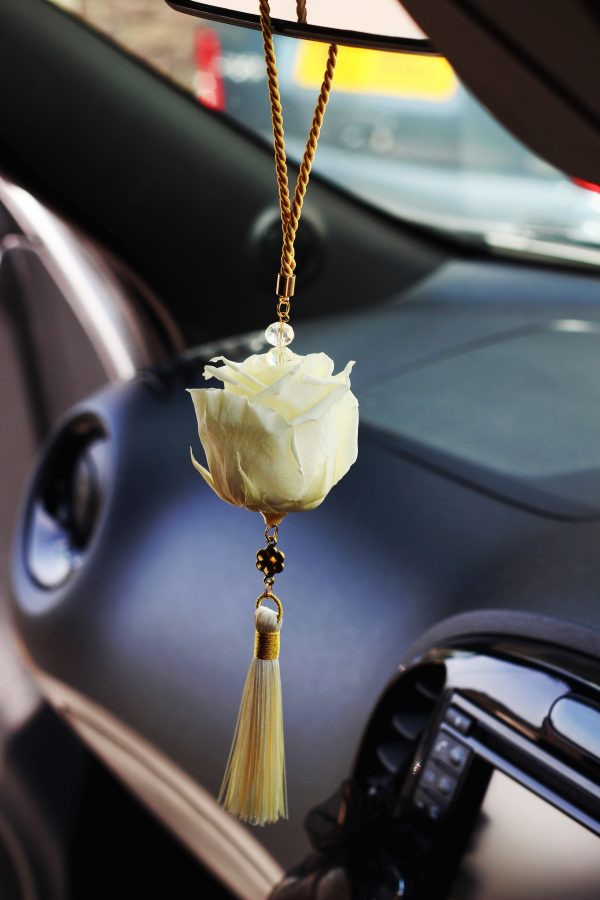 Car Accessories,Preserved Rose Cream
