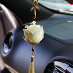 Car Accessories,Preserved Rose Cream