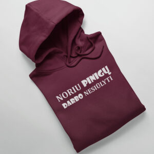 Hoodies for men ,,Noriu pinigu,darbo nesiulyti,,