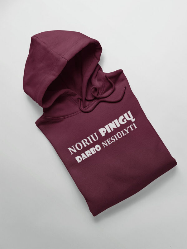 Hoodies for men ,,Noriu pinigu,darbo nesiulyti,,
