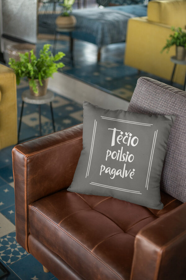 Pillow with print ,,Tecio poilsio pagalve,,