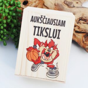 Piggy bank ,,Auksciausiam tikslui,,