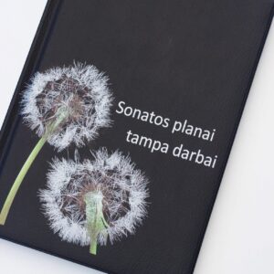 Personalised Work calendar ,,Sonatos planai..,,