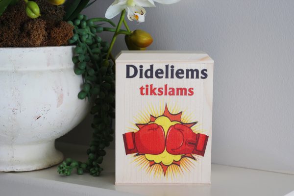 Piggy bank ,,Dideliems tikslams,,