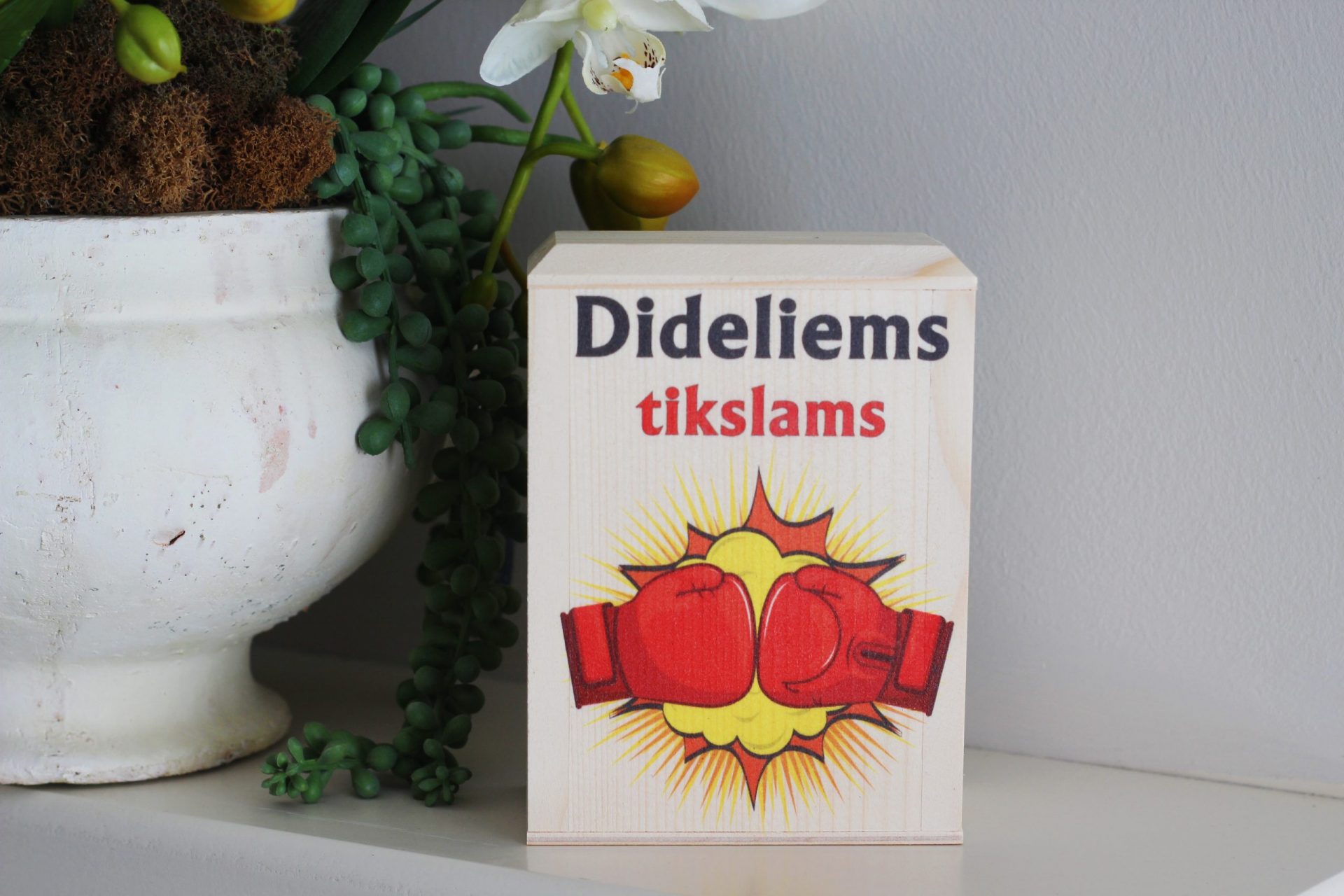 Piggy bank ,,Dideliems tikslams,,