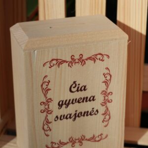 Piggy bank ,,Cia gyvena svajones,,