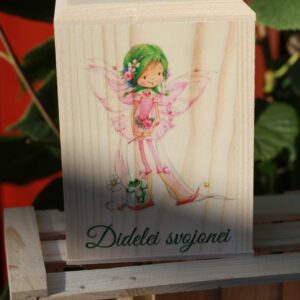 Piggy bank ,,Didelei svajonei,,