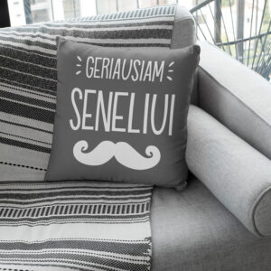 Pillow with print ,,Geriausiam seneliui,,