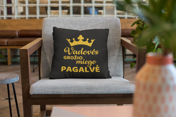 Pillow with print ,,Vadoves grozio miego pagalve,,