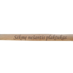 Hammer ,,Sekme nesantis plaktukas,,