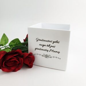 Flowers pot ,,Graziausios geles auga...,,