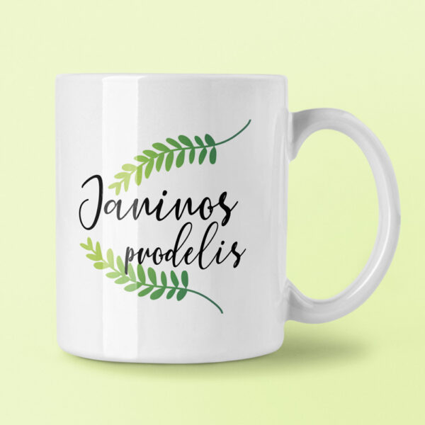 Cup  ,,Janinos puodelis,,