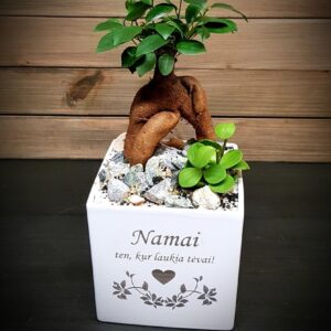 Flowers pot ,,Namai ten,kur laukia tevai,,