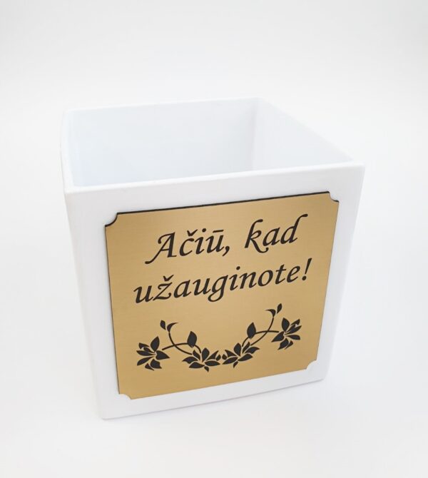 Flowers pot ,Aciu,kas uzauginote,,