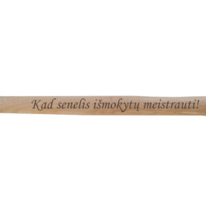 Hammer ,,Kad senelis ismokytu meistrauti,,