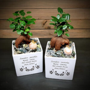 Flowers pot ,,Siandiena-jaunikis,Siandien-jaunoji,,