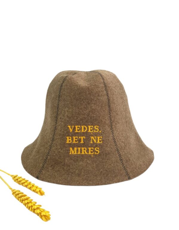 Sauna hat ,,Vedes,bet ne mires,,