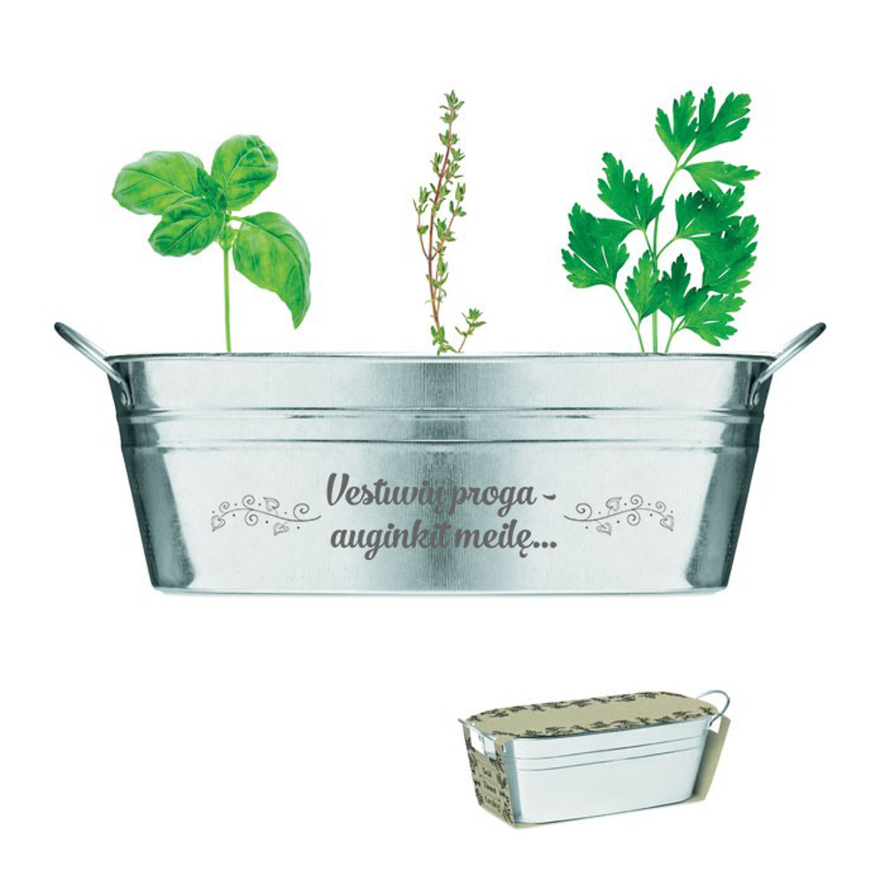 Grow your own indoor herb garden ,,Vestuviu proga..,,