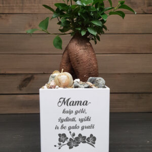 Flowers pot ,,Mama kaip gele,,