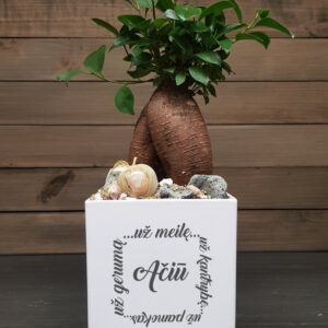 Flowers pot ,,Aciu uz meile...,,