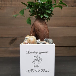 Flowers pot „Laimingo gyvenimo kartu,,