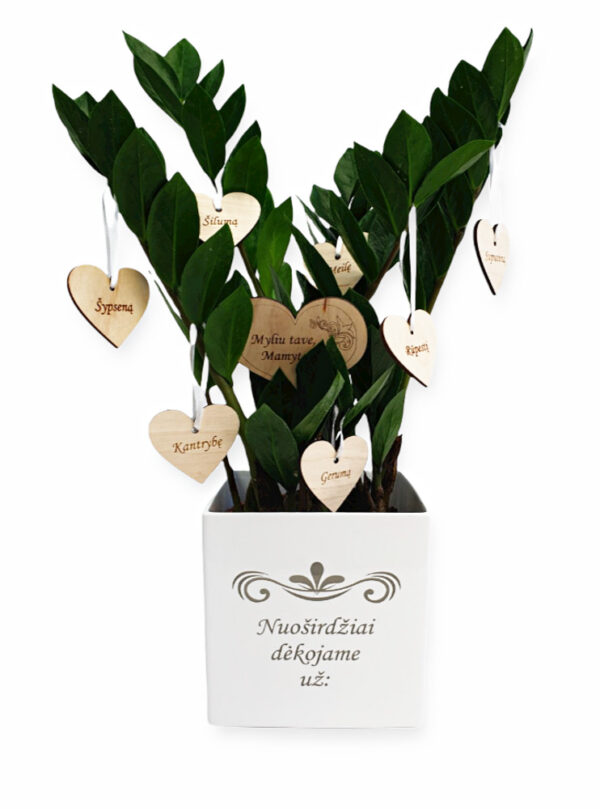 Flowers pot ,,Nuosirdziai dekojame uz:..,,