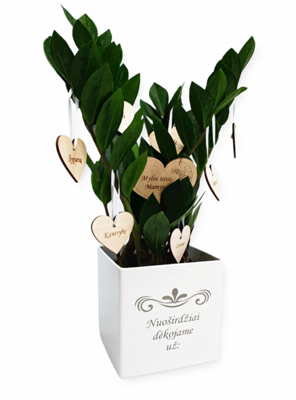 Flowers pot ,,Nuosirdziai dekojame uz:..,, - Image 2