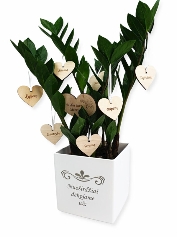 Flowers pot ,,Nuosirdziai dekojame uz:..,, - Image 4