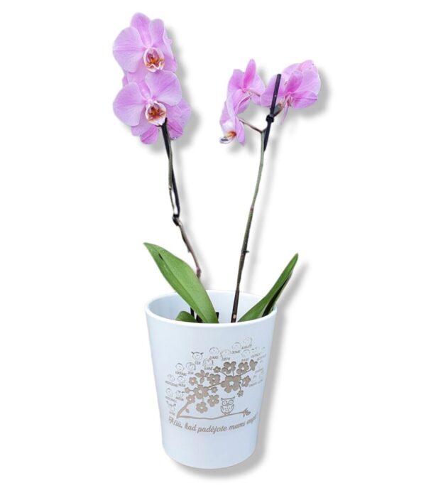 Personalised Flowers pot ,,Aciu,kad padejote,, - Image 3