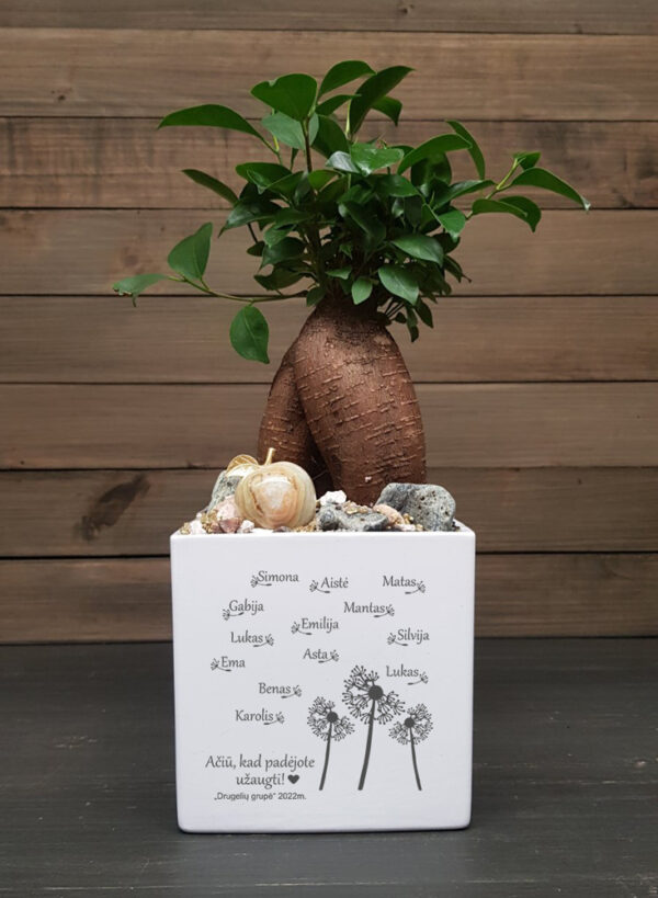 Personalised Flowers pot ,,Aciu,kad padejote,,