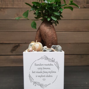 Flowers pot ,,Siandien nuotaka,rytoj zmona...,,