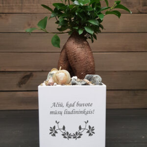 Flowers pot ,,Aciu,kad buvote musu liudininkai,,