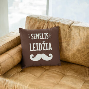 Pillow with print ,,Senelis leidzia,,