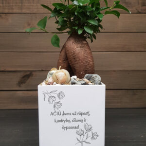 Flowers pot „Aciu Jums uz rupesti,,