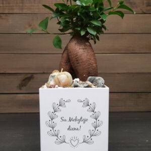 Flowers pot „Su mokytojo diena,,