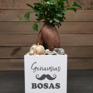 Flowers pot „Geriausias bosas,,