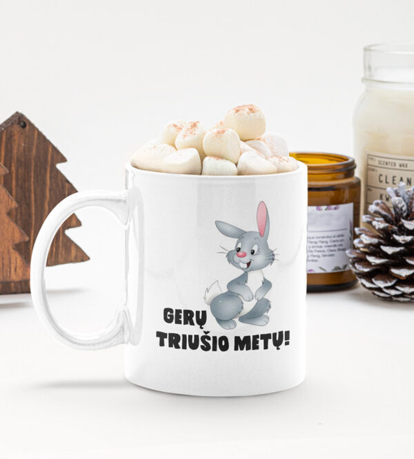 Cup  „Geru triusio metu,,