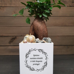 Flowers pot ,,Linkime nuolat tobuleti..,,