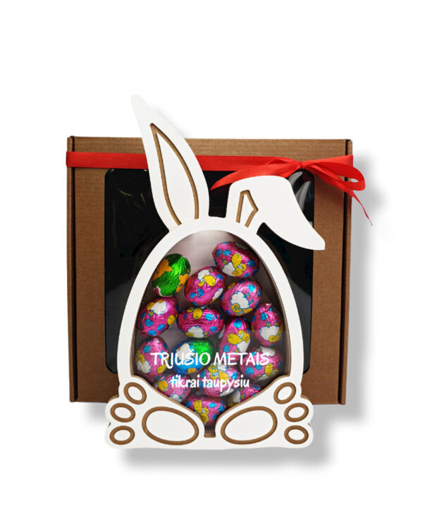2in1 Candy box and piggy bank ,,Triusio metais tikrai taupysiu,,