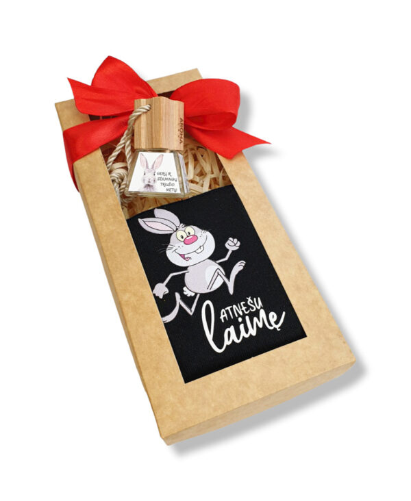 Car  Freshener with sock set ,,Geru ir sekmingu triusio metu,,