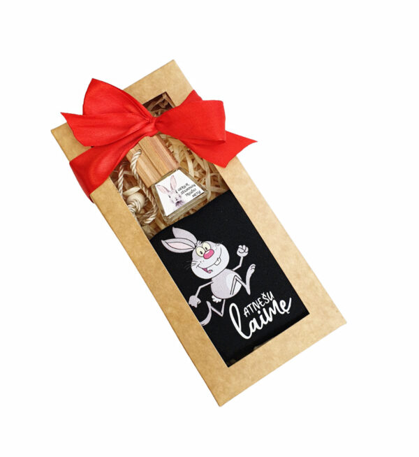 Car  Freshener with sock set ,,Geru ir sekmingu triusio metu,, - Image 3