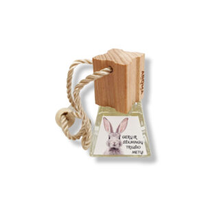 Car Diffuser/Air Freshener ,,Geru ir sekmingu triusio metu,,