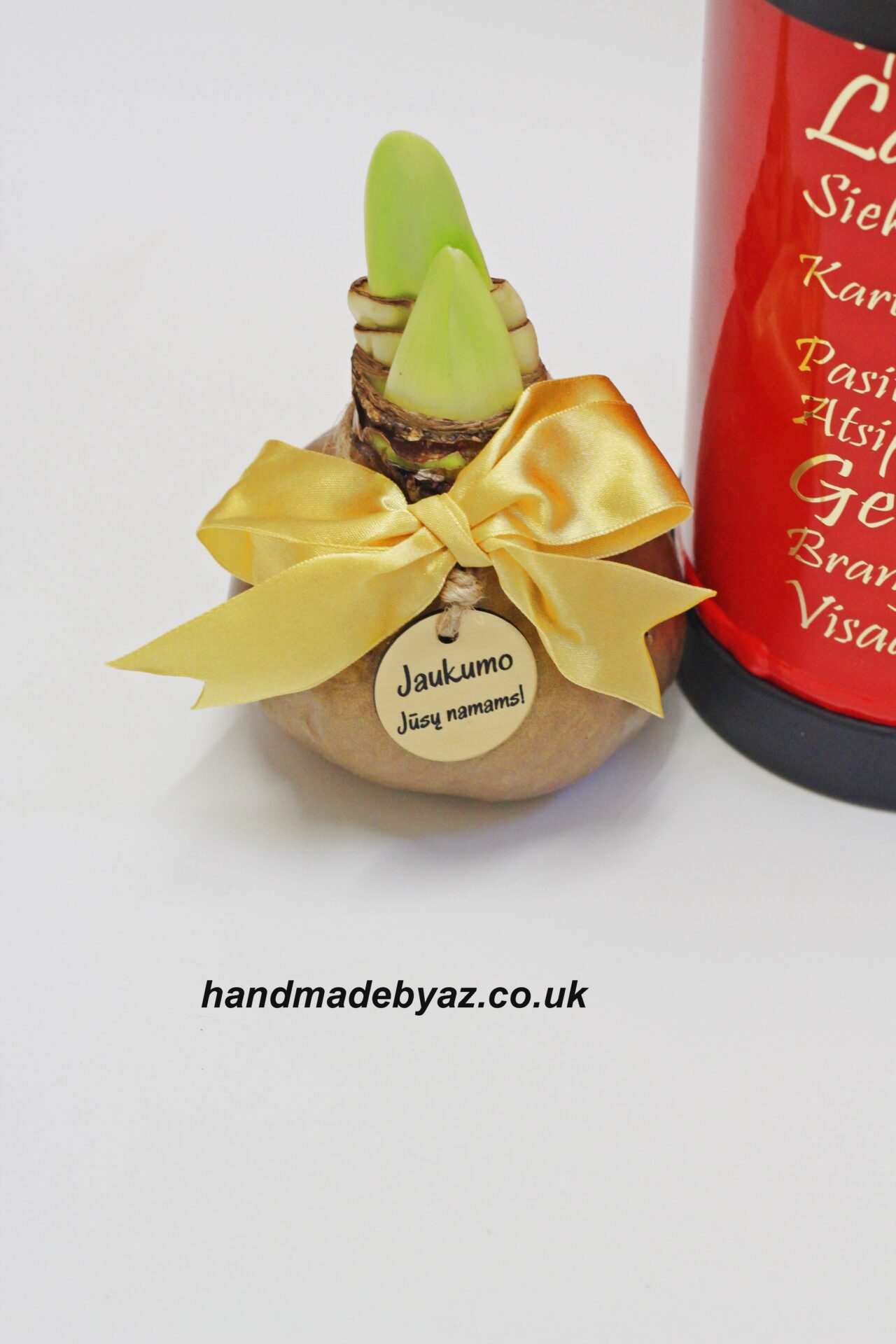 Fire Extinguisher with Amaryllis - Image 2