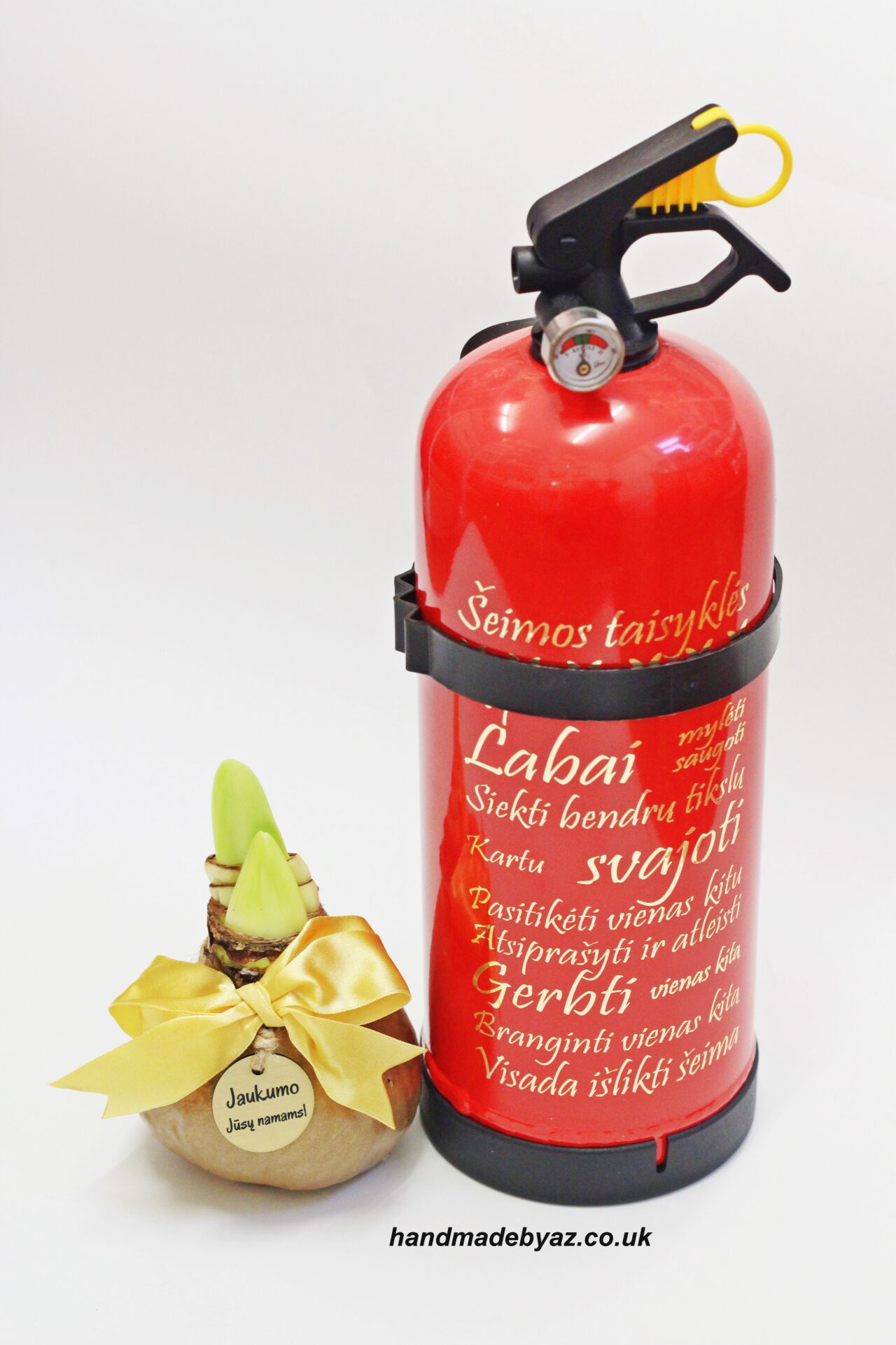 Fire Extinguisher with Amaryllis