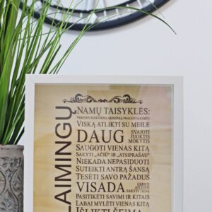 Piggy bank-frame ,,Laimingu namu taisykles,,
