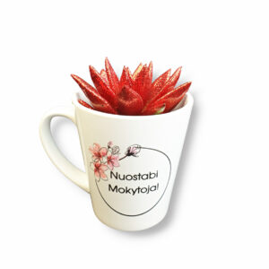 A FLOWER IN A CUP ,,Nuostabi Mokytoja,,