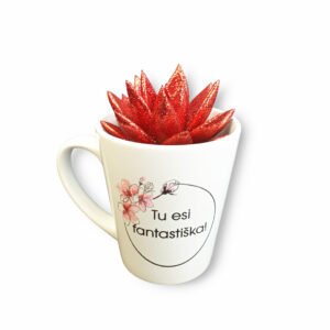 A FLOWER IN A CUP ,,Tu esi fantastiska,,