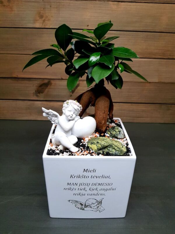 Flowers pot „Mieli Kriksto Teveliai,,(17X17X17CM)