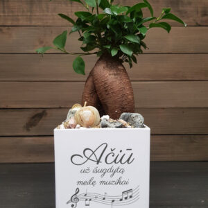 Flowers pot „Aciu uz isugdyta meile muzikai,,