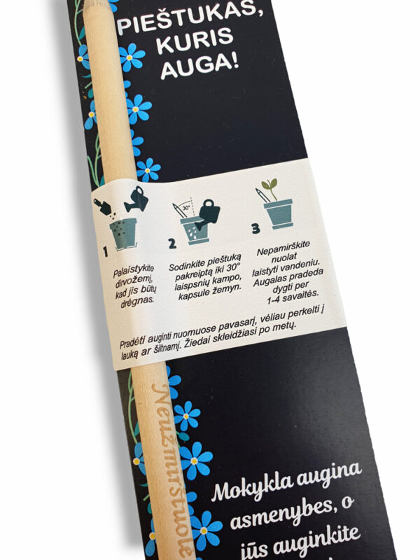 THE GROWING PENCIL ,,Mokykla augina asmenybes...,, - Image 2
